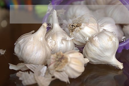 法律咨询部 律师 处罚 法律咨询部 律师 处罚